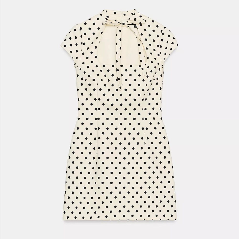 SOLD Zara Polka Dot Sleeve Dress